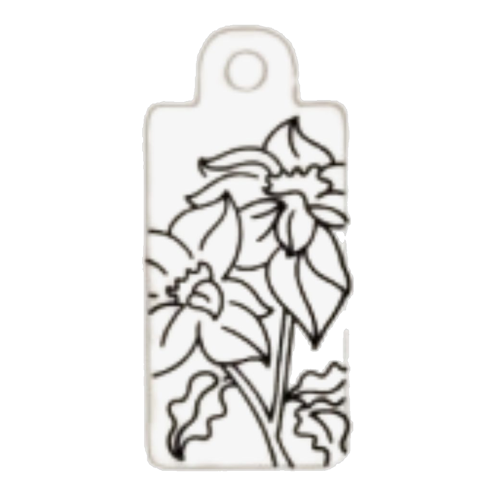 December — Narcissus birth flower tag