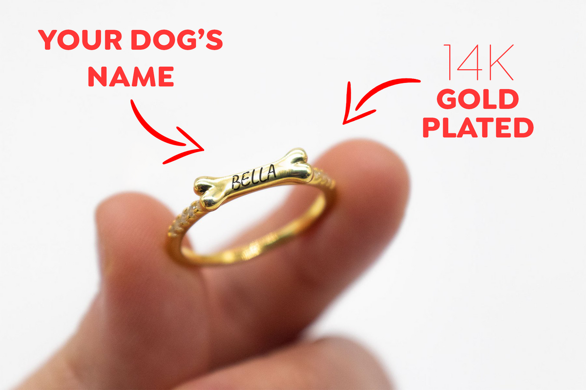 Personalized Dog Name Ring - CG0474S,CG0475S,CG0476S,CG0477S,CG0478S,CG0479S,CG0480S,CG0481S,CG0482S,CG0483S,CG0484S,CG0485S,CG0486S,CG0487S,CG0488S,CG0489S,CG0490S,CG0491S,CG0492S,CG0493S,CG0494S,CG0495S,CG0496S,CG0497S,CG0498S,CG0499S,CG0500S,CG0501S,CG0502S,CG0503S
