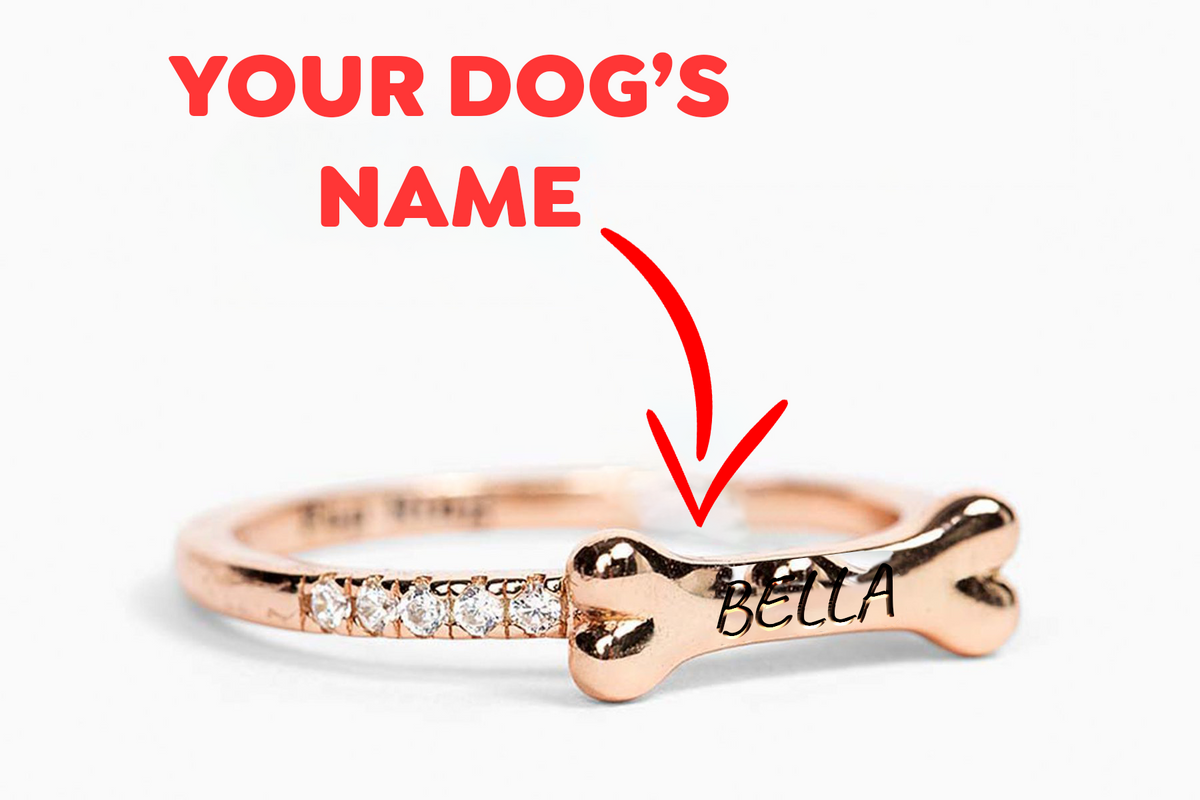 Personalized Dog Name Ring - CG0474S,CG0475S,CG0476S,CG0477S,CG0478S,CG0479S,CG0480S,CG0481S,CG0482S,CG0483S,CG0484S,CG0485S,CG0486S,CG0487S,CG0488S,CG0489S,CG0490S,CG0491S,CG0492S,CG0493S,CG0494S,CG0495S,CG0496S,CG0497S,CG0498S,CG0499S,CG0500S,CG0501S,CG0502S,CG0503S